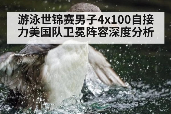 游泳世锦赛男子4x100自接力美国队卫冕阵容深度分析